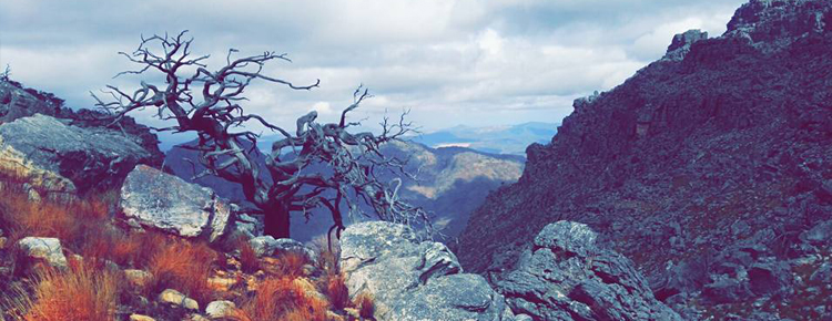 Cederberg nature – Bishops Epic