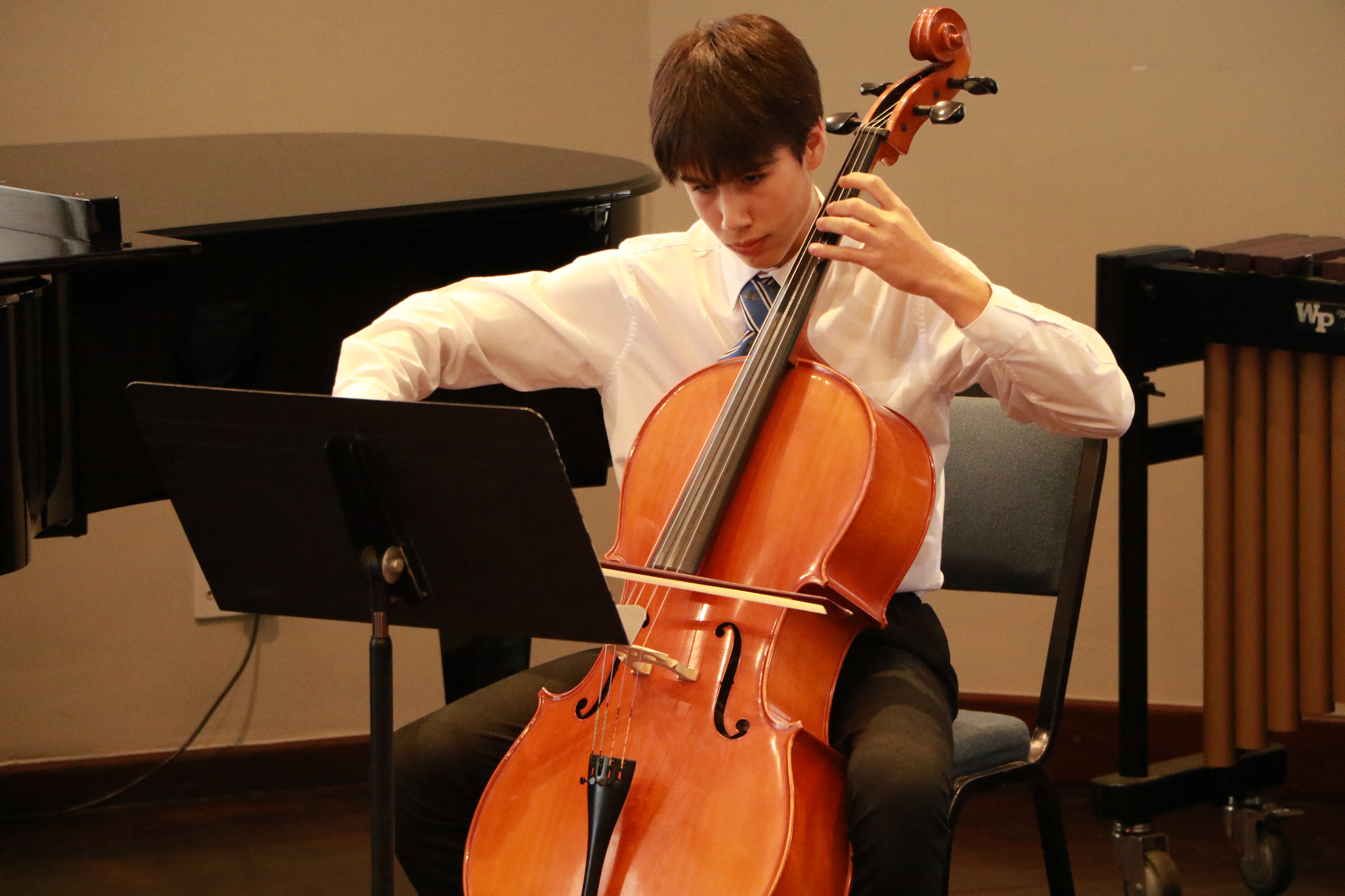 Orchestral Instruments