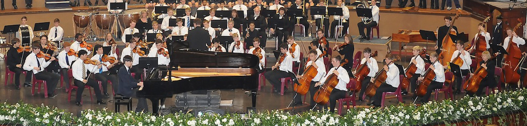 Orchestra Performance